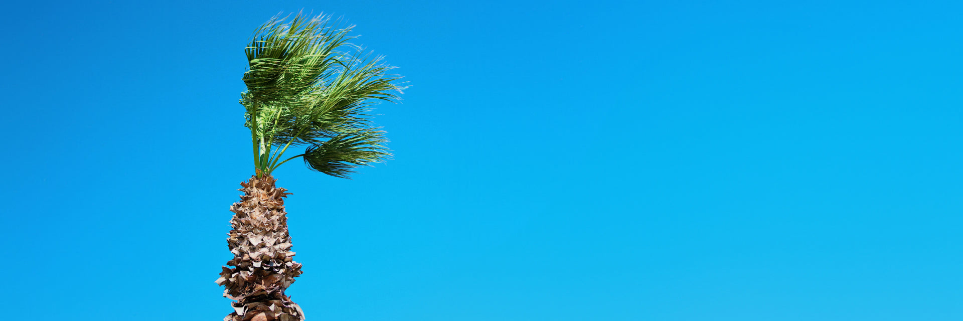 Heavy Outdoor Furniture for Windy Areas: A Comprehensive Guide