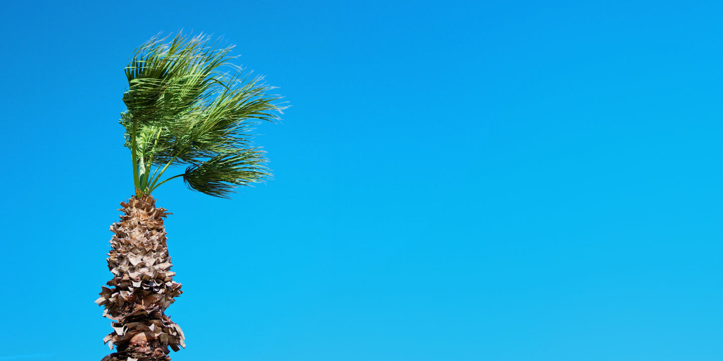 Heavy Outdoor Furniture for Windy Areas: A Comprehensive Guide