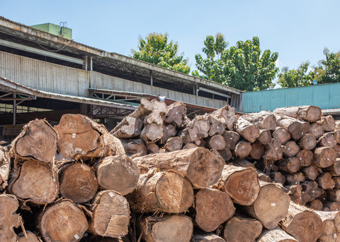 Sustainability at Neighbor