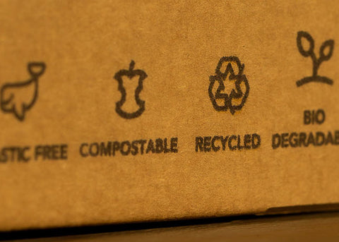 15 Best Ethical and Sustainable Furniture Brands