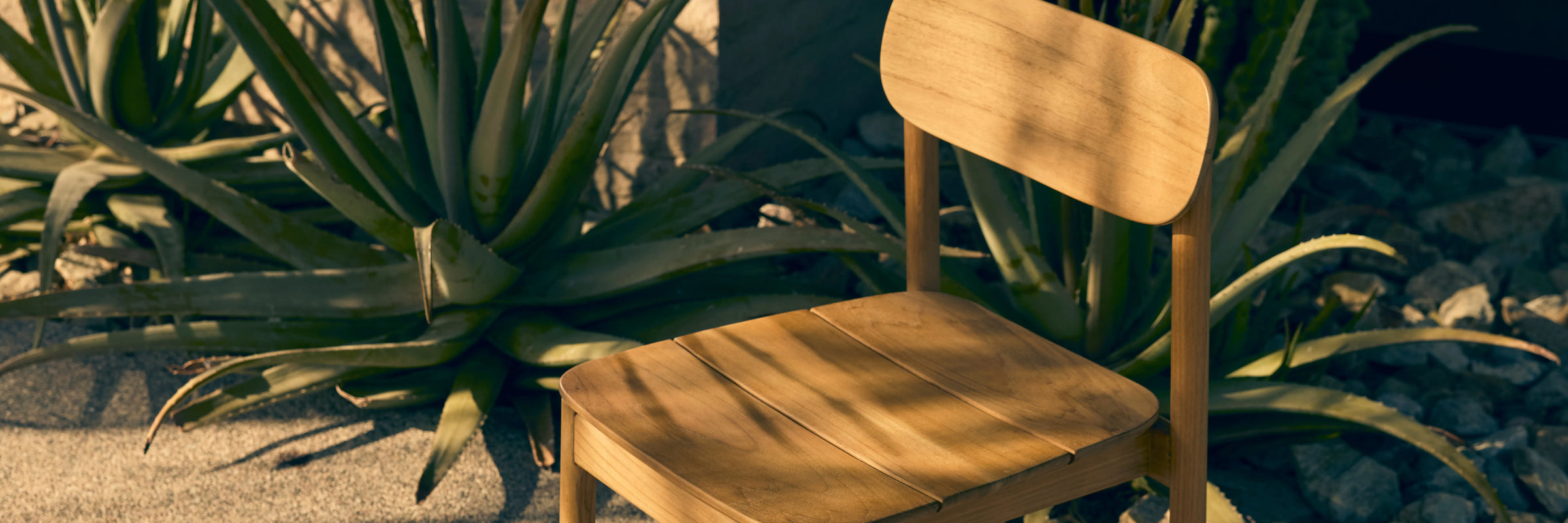 Neighbor Keeper Dining Chair in natural teak on sandy outdoor surface surrounded by desert succulents in golden light