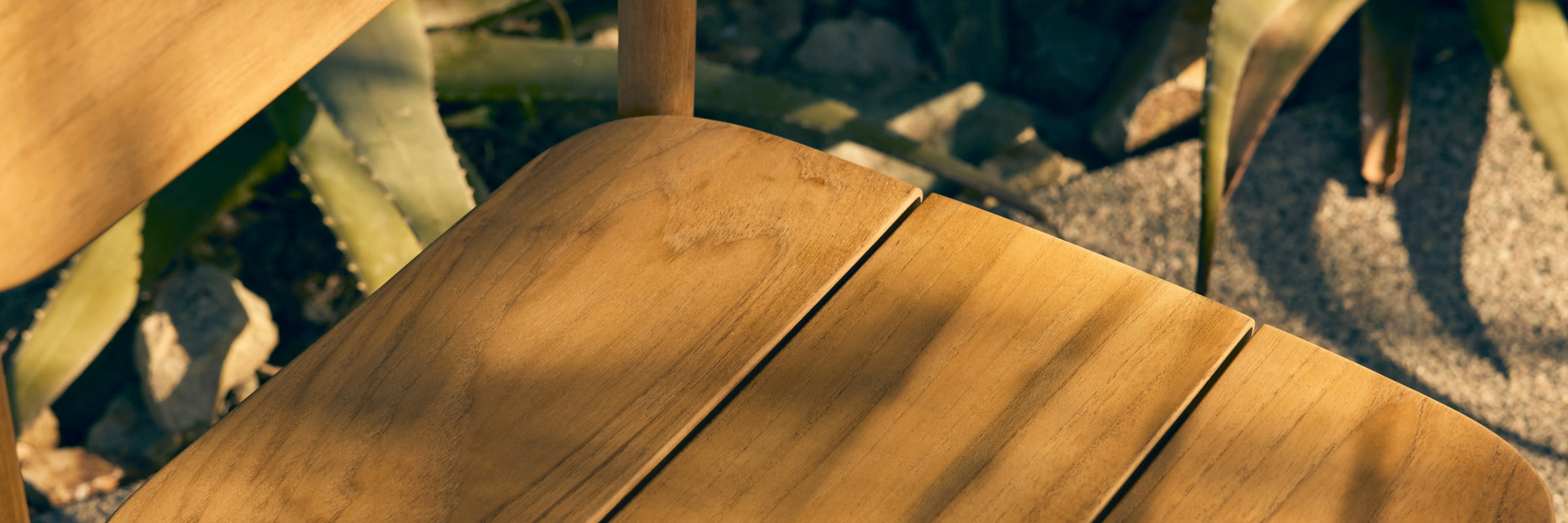 Closeup of Neighbor Keeper Dining Chair teak seat slats in raking golden light with agave plants behind