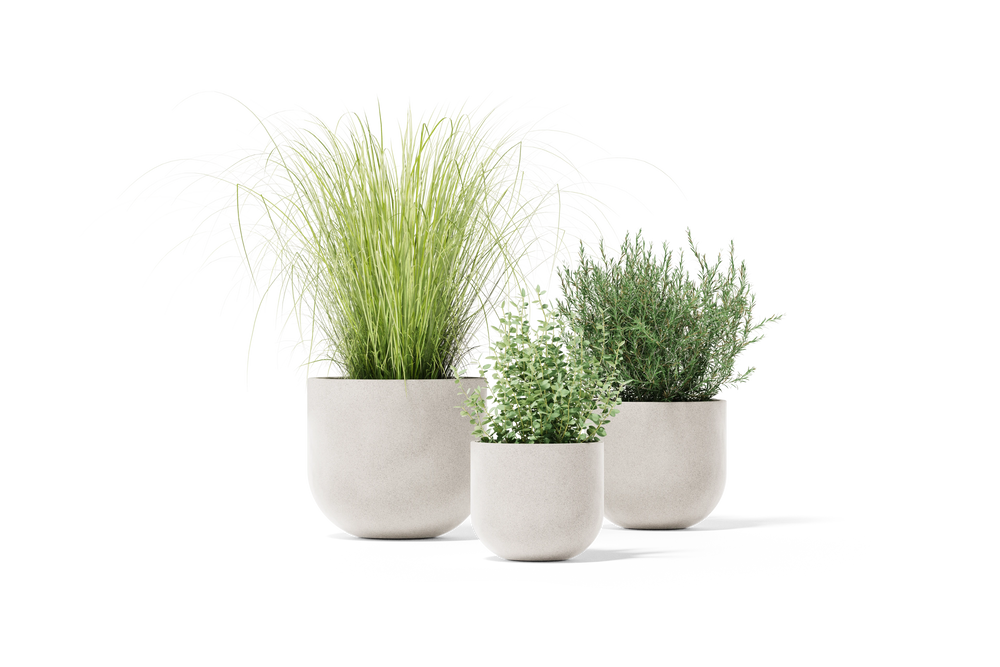 Settle Planter – Small – image 2