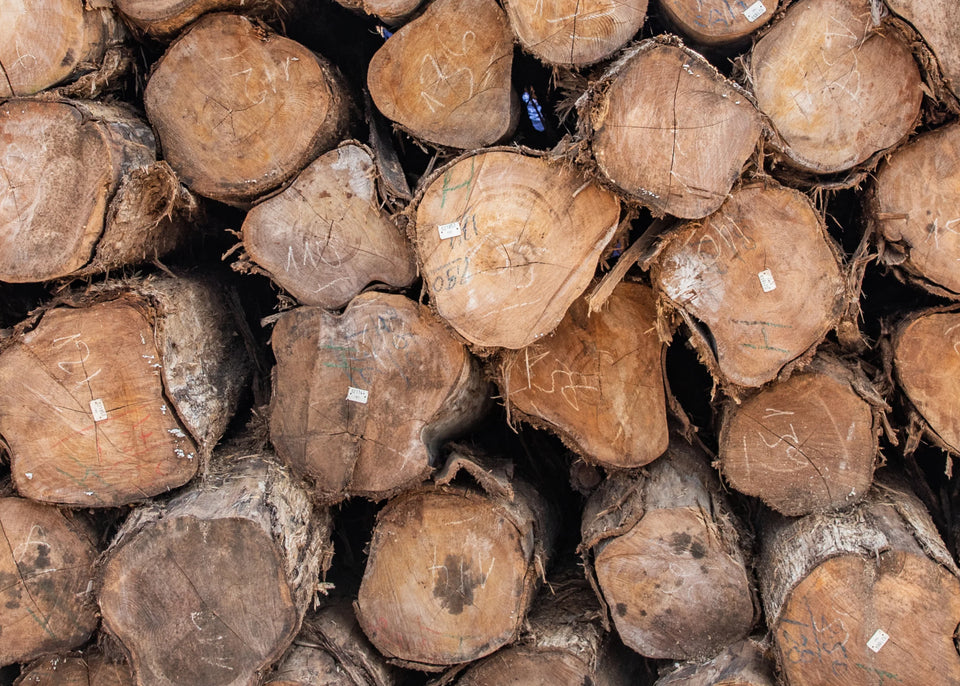 Cross-section of stacked raw teak logs tagged with tracking labels - timber sourcing and sustainability image
