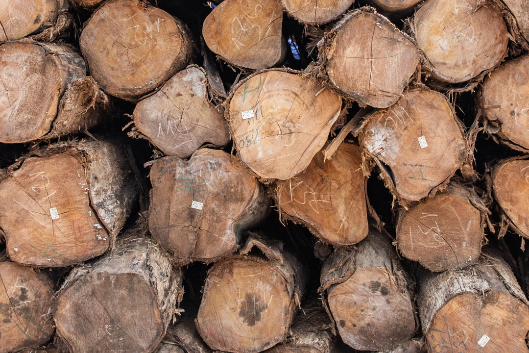 Cross-section of stacked raw teak logs tagged with tracking labels - timber sourcing and sustainability image