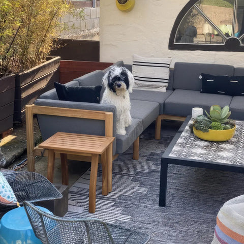 Customer photo - dog sitting on Neighbor outdoor sectional in dark charcoal with teak frame and striped pillow on a backyard patio