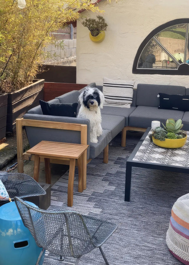 Customer photo - dog sitting on Neighbor outdoor sectional in dark charcoal with teak frame and striped pillow on a backyard patio